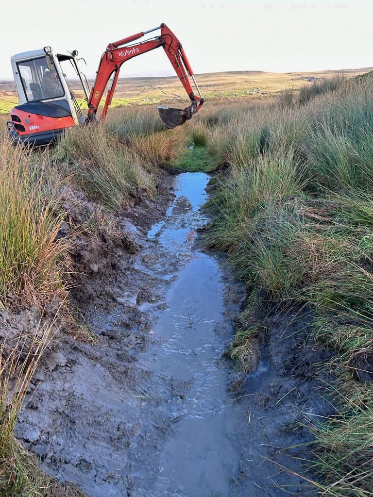 Ditch cleaning