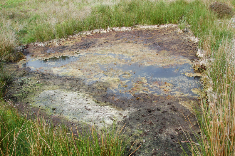 “Pond shrinking”